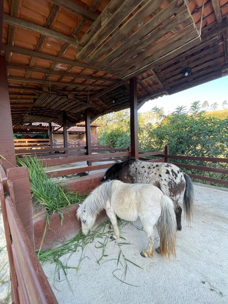 Hotel Fazenda Rochedo Conservatória Eksteriør bilde